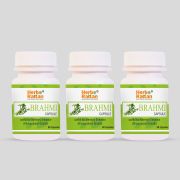 rajni-herbal-herbo-rattan-brahmi-capsule-60-capsules-pack-of-3-health-care