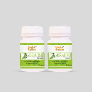 rajni-herbal-herbo-rattan-brahmi-capsule-60-capsules-pack-of-2-health-care