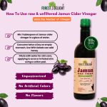 Forest Delight Jamun Cider Vinegar – Natural Wellness Tonic