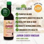 Forest Delight Jamun Cider Vinegar – Natural Wellness Tonic