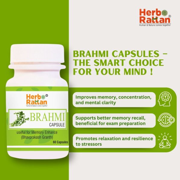 Herbo Rattan Brahmi Capsule 60 Capsules for Improved Focus & Cognitive Health