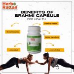 Herbo Rattan Ayush Kwath 100gm with Immune Rattan Syrup 200ml – Ayurvedic Immunity Boost