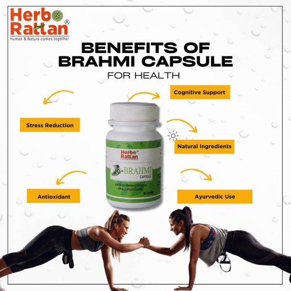 Herbo Rattan Brahmi Capsule 60 Capsules for Improved Focus & Cognitive Health