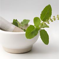 Rajniherbal -Health with Tulsi Leaf