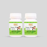 rajni-herbal-herbo-rattan-sugar-fit-capsule-60-capsules-pack-of-2-health-care