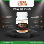Herbo Rattan Power Plus – Pack of 2 (30 Capsules Each) for Enhanced Vitality