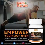 Herbo Rattan Power Plus – 30 Capsules for Energy and Vitality